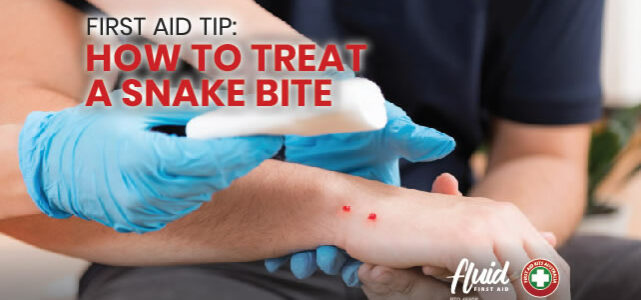 First Aid Tip: How to treat a snake bite?